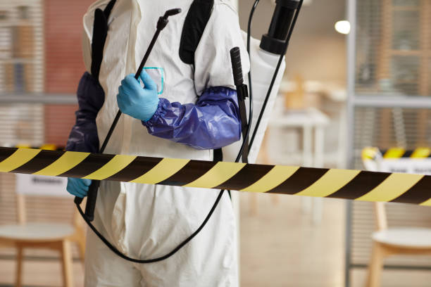 Professional Sewage Cleanup technician working in Randolph, NE